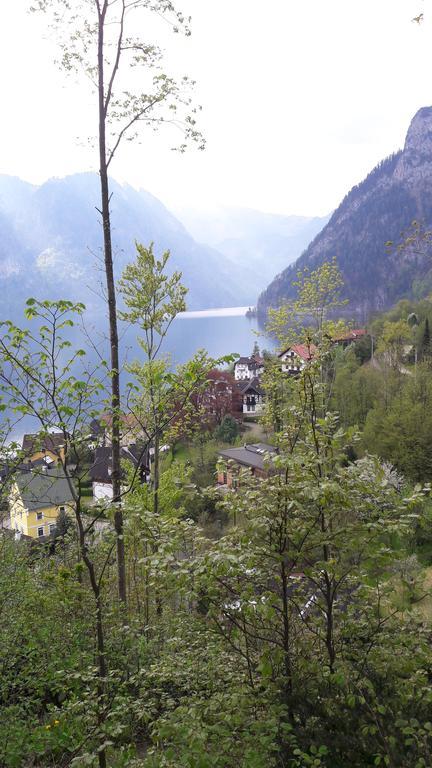Am Baalstein Lägenhet Traunkirchen Exteriör bild
